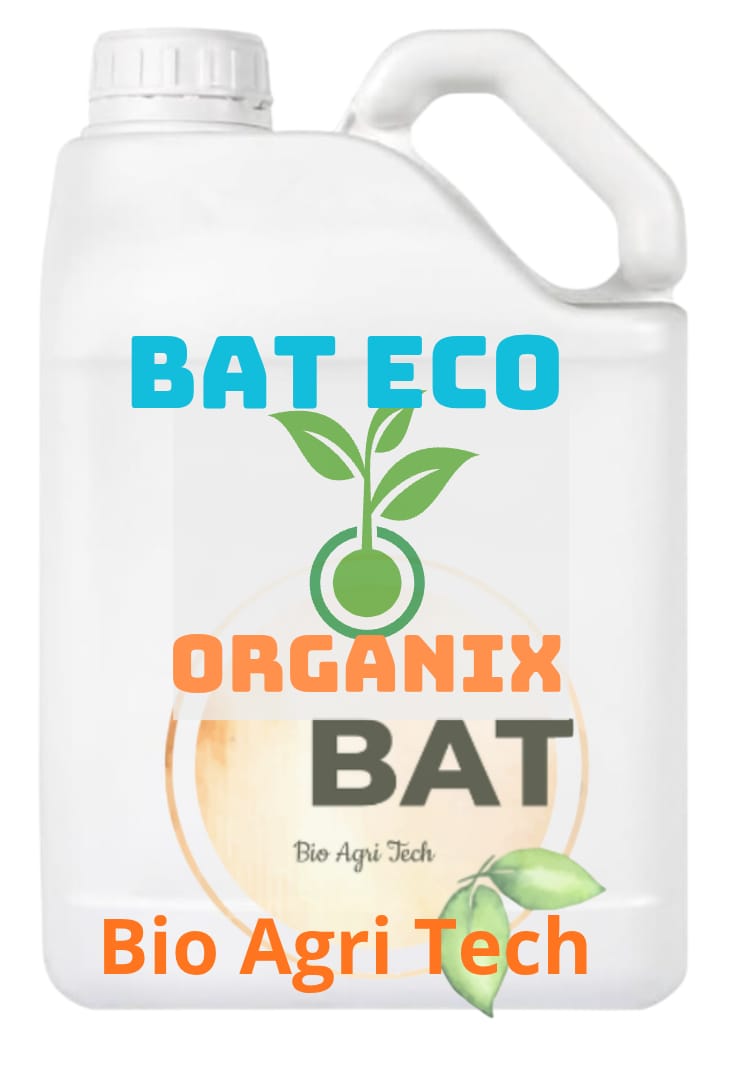 BAT ECO