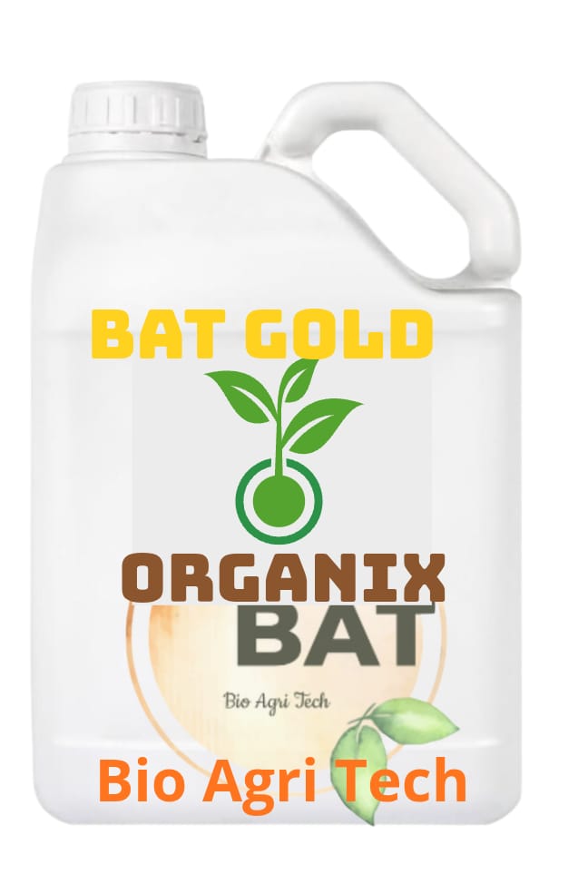 BAT GOLD